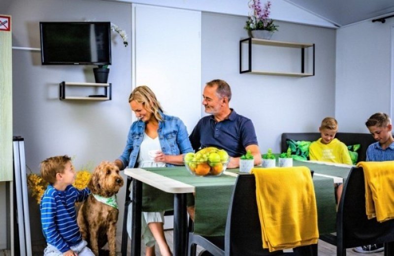 Camping bij nieuwpoort