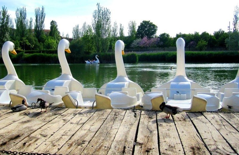 Koninginnehof Ostende