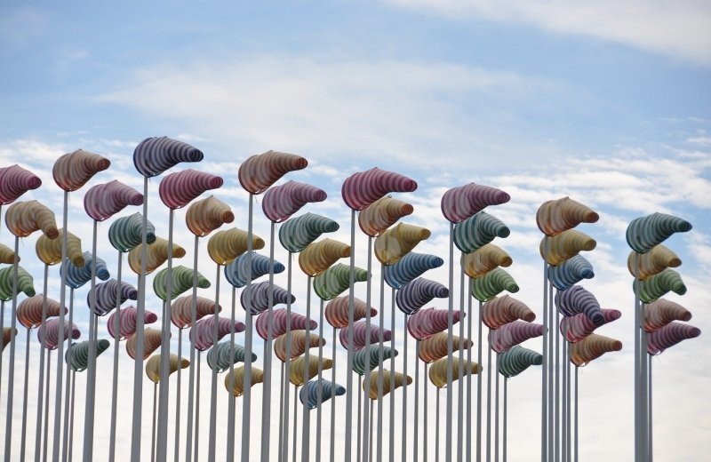 Excursions dans la région